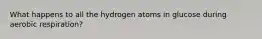 What happens to all the hydrogen atoms in glucose during aerobic respiration?