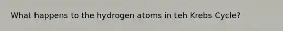 What happens to the hydrogen atoms in teh Krebs Cycle?