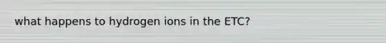 what happens to hydrogen ions in the ETC?