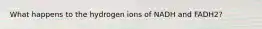 What happens to the hydrogen ions of NADH and FADH2?