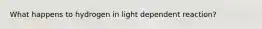 What happens to hydrogen in light dependent reaction?