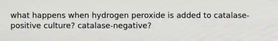 what happens when hydrogen peroxide is added to catalase-positive culture? catalase-negative?