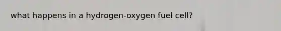 what happens in a hydrogen-oxygen fuel cell?