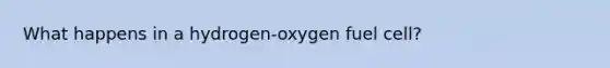 What happens in a hydrogen-oxygen fuel cell?