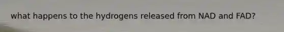 what happens to the hydrogens released from NAD and FAD?