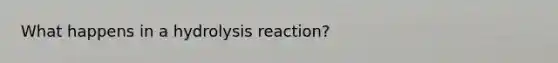 What happens in a hydrolysis reaction?