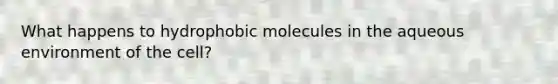 What happens to hydrophobic molecules in the aqueous environment of the cell?