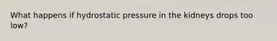 What happens if hydrostatic pressure in the kidneys drops too low?