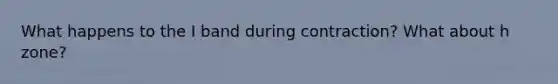 What happens to the I band during contraction? What about h zone?