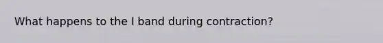 What happens to the I band during contraction?