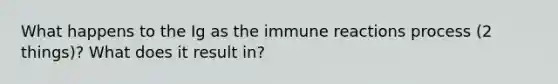 What happens to the Ig as the immune reactions process (2 things)? What does it result in?