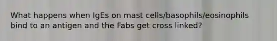 What happens when IgEs on mast cells/basophils/eosinophils bind to an antigen and the Fabs get cross linked?