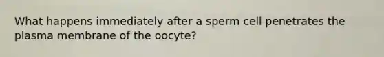 What happens immediately after a sperm cell penetrates the plasma membrane of the oocyte?