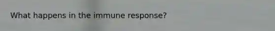 What happens in the immune response?