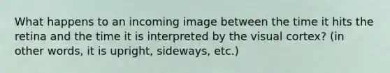 What happens to an incoming image between the time it hits the retina and the time it is interpreted by the visual cortex? (in other words, it is upright, sideways, etc.)