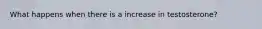 What happens when there is a increase in testosterone?