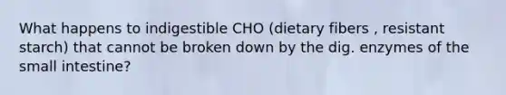 What happens to indigestible CHO (dietary fibers , resistant starch) that cannot be broken down by the dig. enzymes of the small intestine?