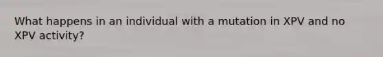 What happens in an individual with a mutation in XPV and no XPV activity?