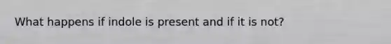 What happens if indole is present and if it is not?