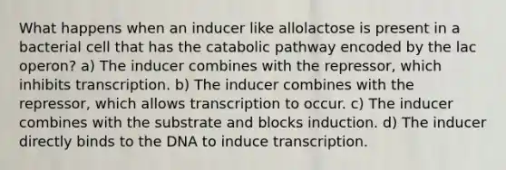 What happens when an inducer like allolactose is present in a bacterial cell that has the catabolic pathway encoded by the lac operon? a) The inducer combines with the repressor, which inhibits transcription. b) The inducer combines with the repressor, which allows transcription to occur. c) The inducer combines with the substrate and blocks induction. d) The inducer directly binds to the DNA to induce transcription.