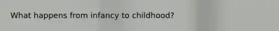 What happens from infancy to childhood?