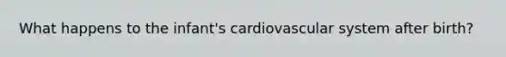 What happens to the infant's cardiovascular system after birth?