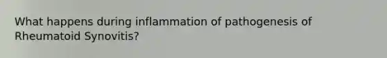 What happens during inflammation of pathogenesis of Rheumatoid Synovitis?