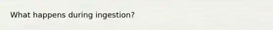 What happens during ingestion?