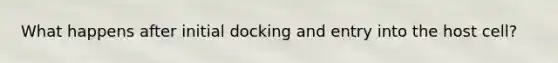 What happens after initial docking and entry into the host cell?