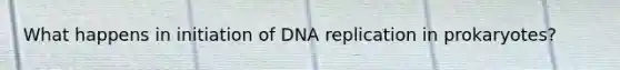 What happens in initiation of DNA replication in prokaryotes?