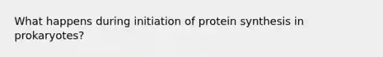 What happens during initiation of protein synthesis in prokaryotes?