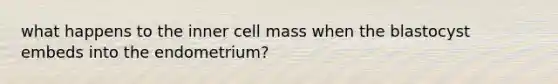 what happens to the inner cell mass when the blastocyst embeds into the endometrium?