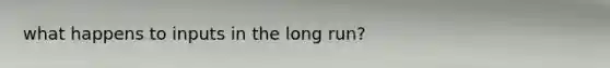 what happens to inputs in the long run?