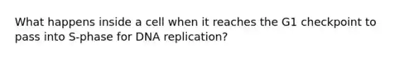 What happens inside a cell when it reaches the G1 checkpoint to pass into S-phase for DNA replication?