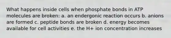 What happens inside cells when phosphate bonds in ATP molecules are broken: a. an endergonic reaction occurs b. anions are formed c. peptide bonds are broken d. energy becomes available for cell activities e. the H+ ion concentration increases