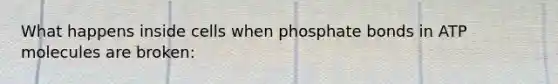 What happens inside cells when phosphate bonds in ATP molecules are broken: