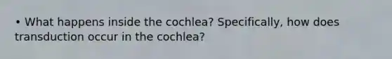 • What happens inside the cochlea? Specifically, how does transduction occur in the cochlea?