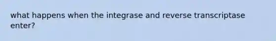 what happens when the integrase and reverse transcriptase enter?