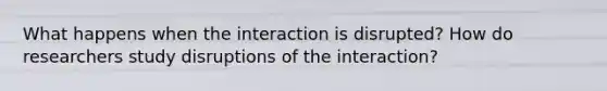 What happens when the interaction is disrupted? How do researchers study disruptions of the interaction?