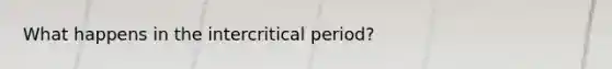 What happens in the intercritical period?