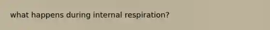 what happens during internal respiration?