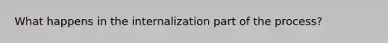 What happens in the internalization part of the process?