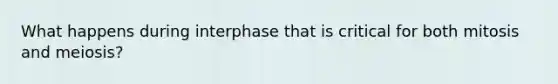 What happens during interphase that is critical for both mitosis and meiosis?