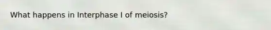 What happens in Interphase I of meiosis?