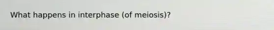 What happens in interphase (of meiosis)?