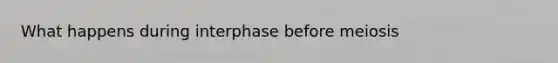 What happens during interphase before meiosis