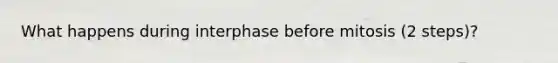 What happens during interphase before mitosis (2 steps)?