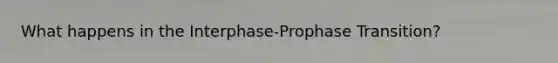 What happens in the Interphase-Prophase Transition?