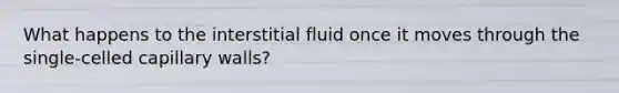 What happens to the interstitial fluid once it moves through the single-celled capillary walls?