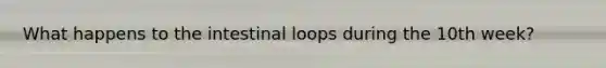 What happens to the intestinal loops during the 10th week?